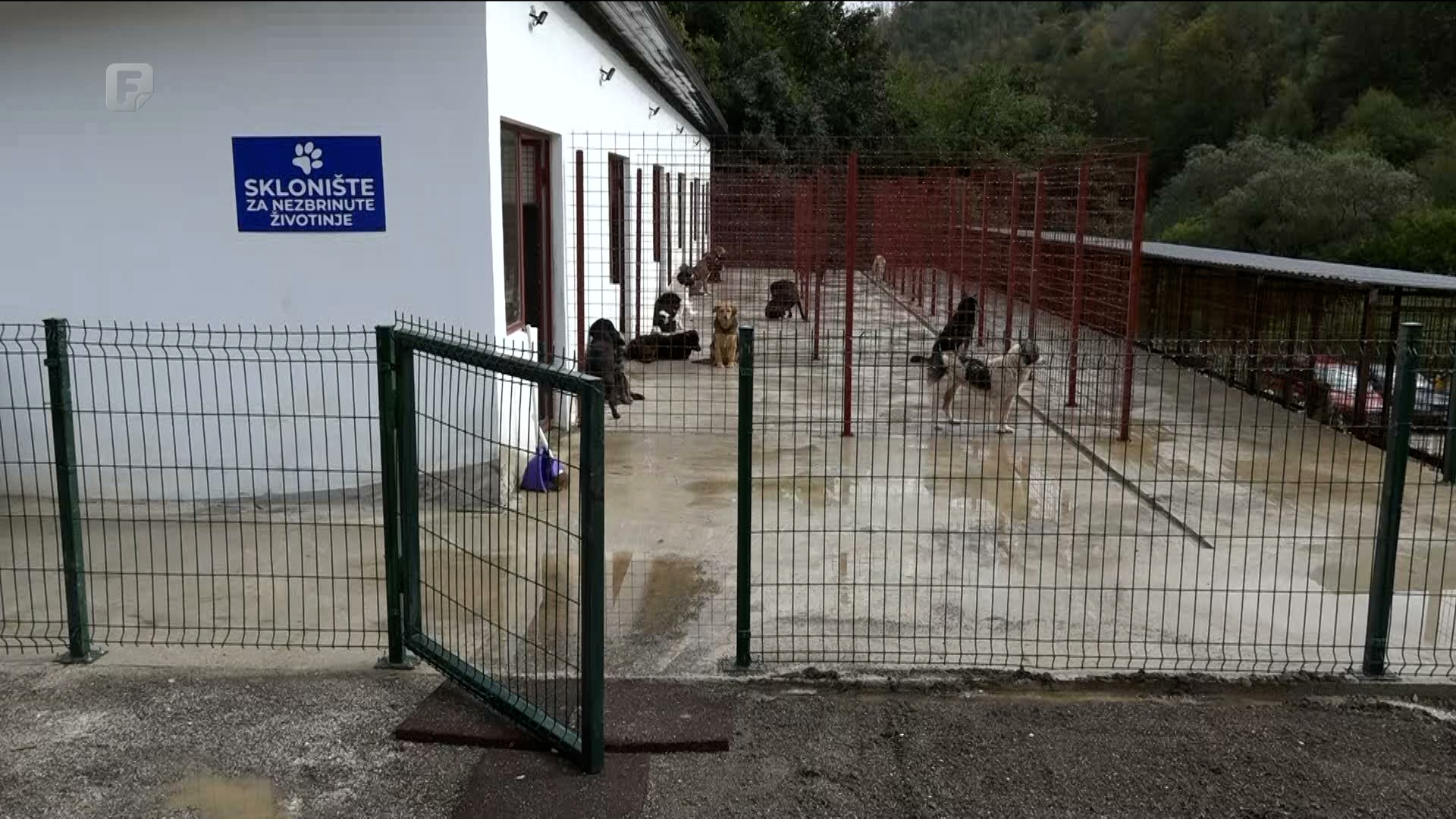 Rješenje za višegodišnji problem velikog broja pasa lutalica na području SBK-a